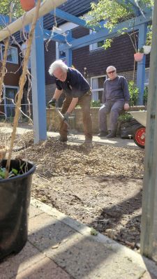 Planting Photo 3
