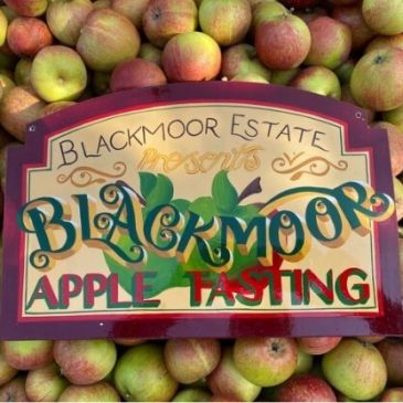 Blackmoor Apple Tasting