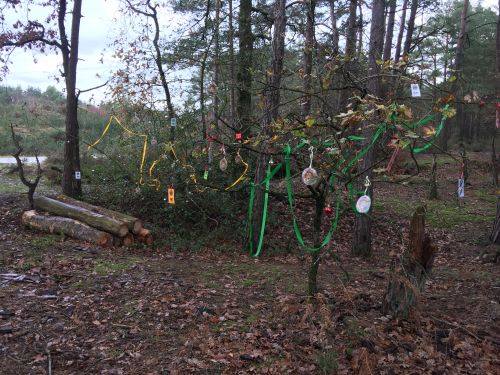 tree 1 tree 1